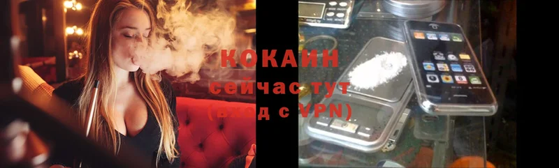 где купить   Калязин  COCAIN Columbia 