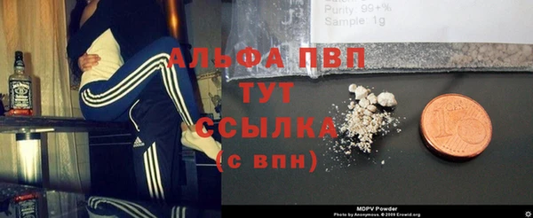 ПСИЛОЦИБИНОВЫЕ ГРИБЫ Надым