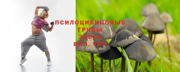 шишки Нефтекумск