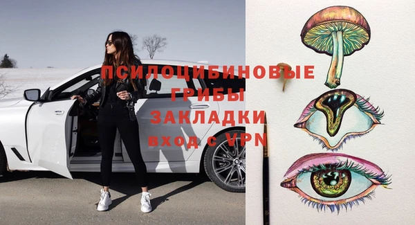 ПСИЛОЦИБИНОВЫЕ ГРИБЫ Надым